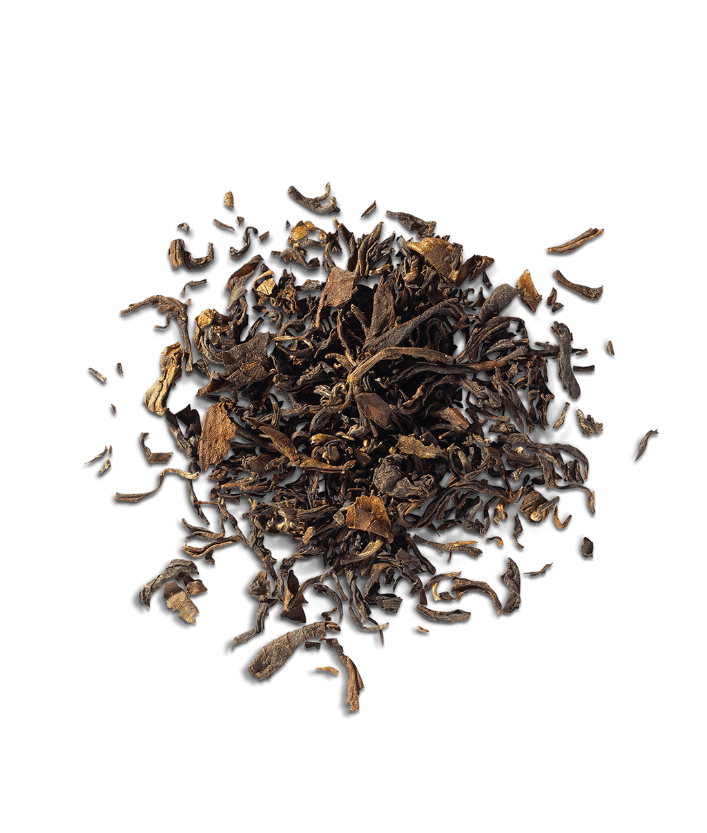 Organic Darjeeling Estate
