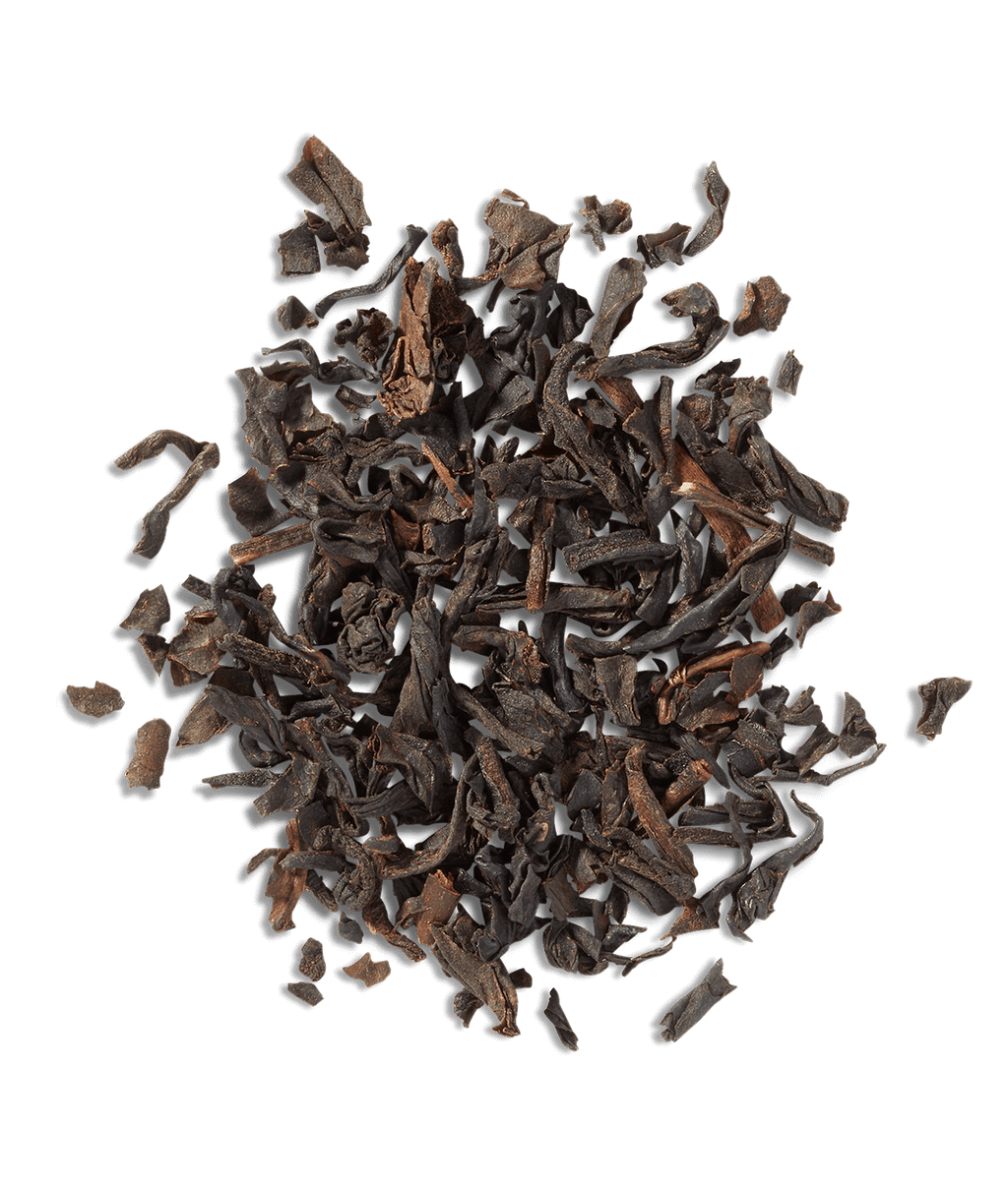 Vanilla Bean
