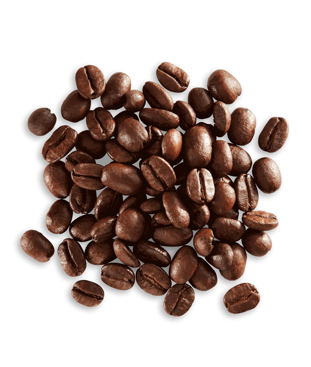Bolivia Yungas Valley