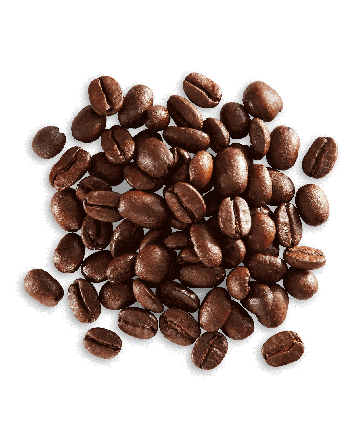 Bolivia Yungas Valley