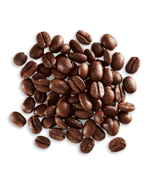 Bolivia Yungas Valley
