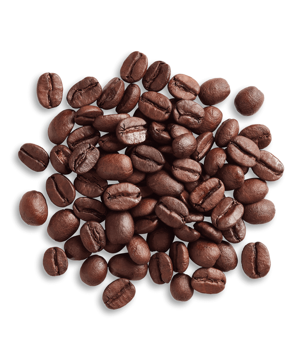 Brazil Fazendas Dutra Organic