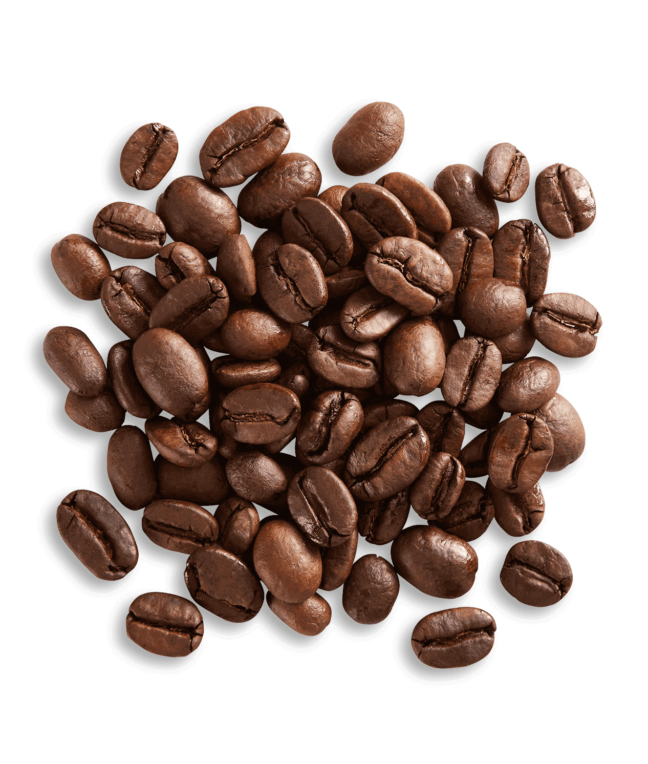 Moka Batak Blend