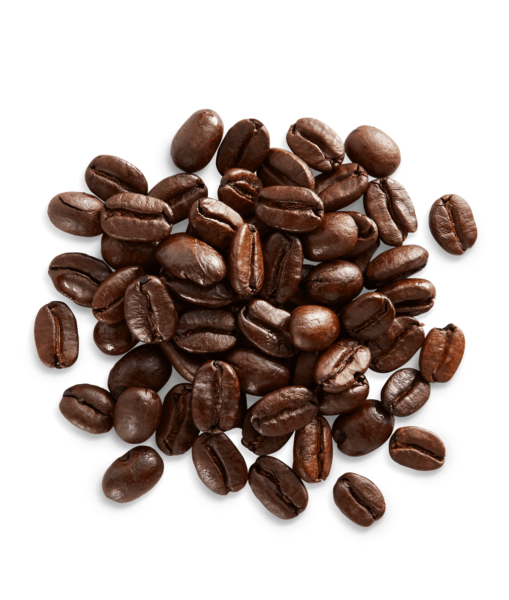 Sulawesi-Kalosi