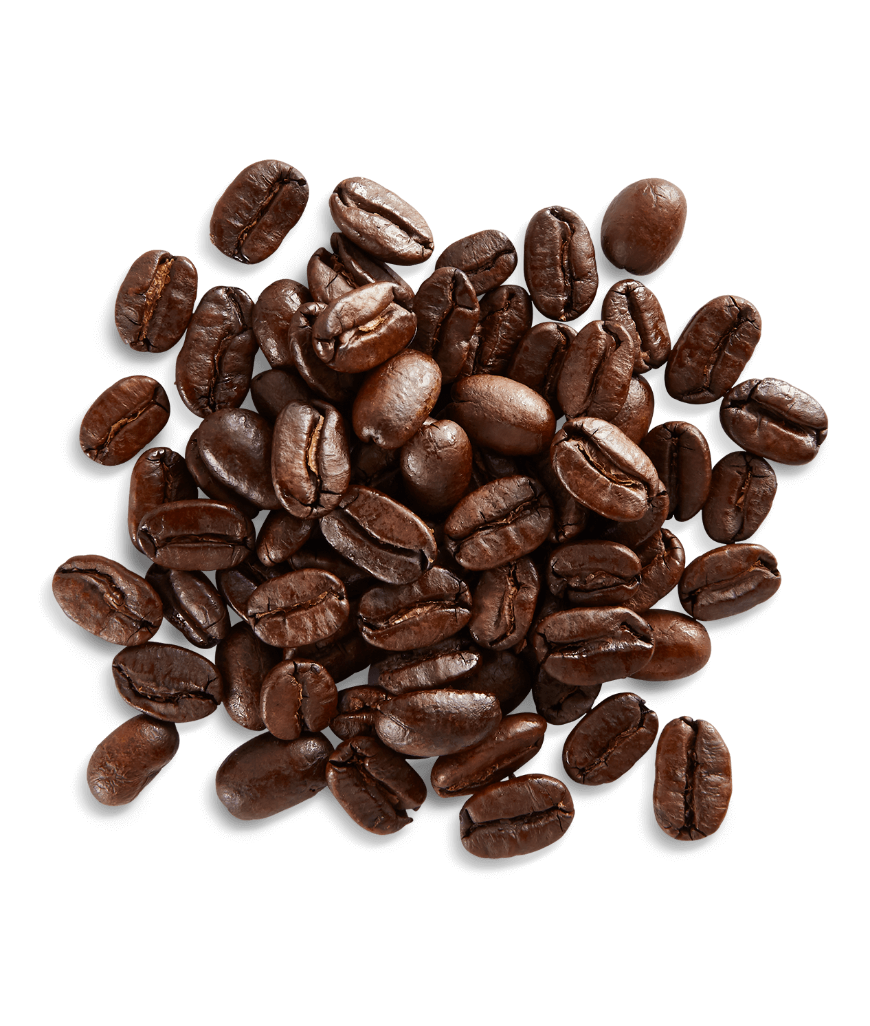 Sumatra Batak