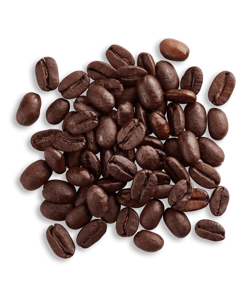 Sumatra Solok Radjo
