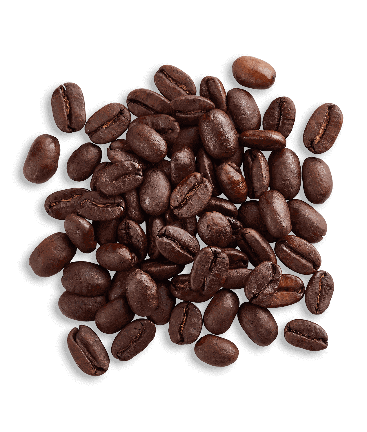 Sumatra Solok Radjo